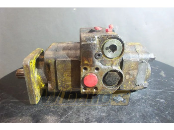 Hydraulic pump
