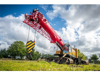 Crawler crane PALFINGER