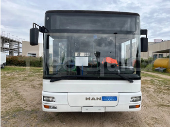 Leasing of  Man A21 Man A21: picture 2