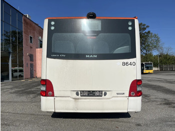 City bus Man Lion's City GL: picture 5