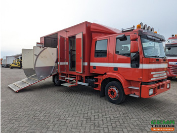 Horse truck IVECO