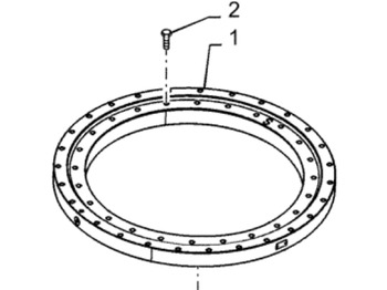 Slewing ring CASE