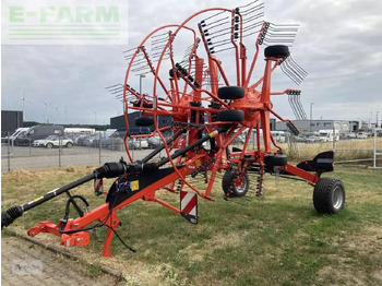 Tedder/ Rake KUHN