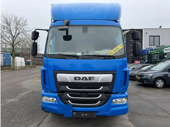 Box truck DAF LF 180 4X2 - EURO 6 + DHOLLANDIA LIFT: picture 2 Box truck DAF LF 180 4X2 - EURO 6 + DHOLLANDIA LIFT: picture 2