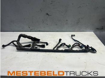 Electrical system DAF