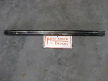 Rear axle DAF