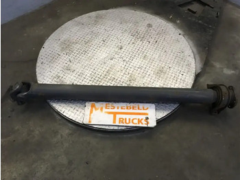 Drive shaft DAF