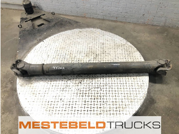 Drive shaft DAF