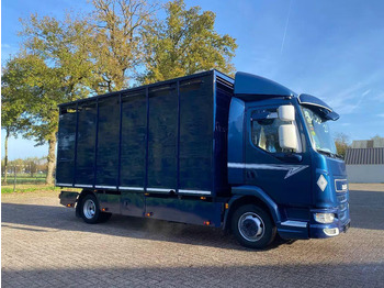 Livestock truck DAF LF 280: picture 2