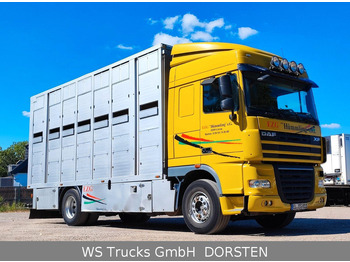 Leasing of DAF XF410 Menke Doppelstock DAF XF410 Menke Doppelstock: picture 3