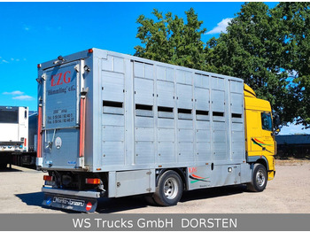 Leasing of DAF XF410 Menke Doppelstock DAF XF410 Menke Doppelstock: picture 5