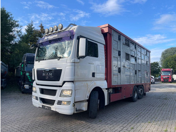 Livestock truck MAN TGX 26.400 6x2-2 LL 3 Stück Finkl Hubdach: picture 2 Livestock truck MAN TGX 26.400 6x2-2 LL 3 Stück Finkl Hubdach: picture 2