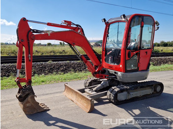 Mini excavator JCB 8025