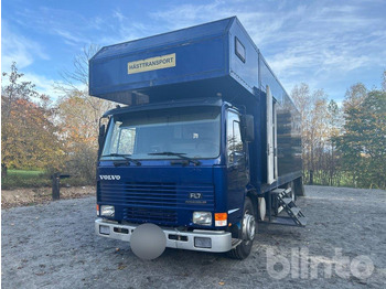 Horse truck VOLVO FL7
