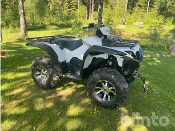 Side-by-side/ ATV YAMAHA Grizzly 700: picture 1