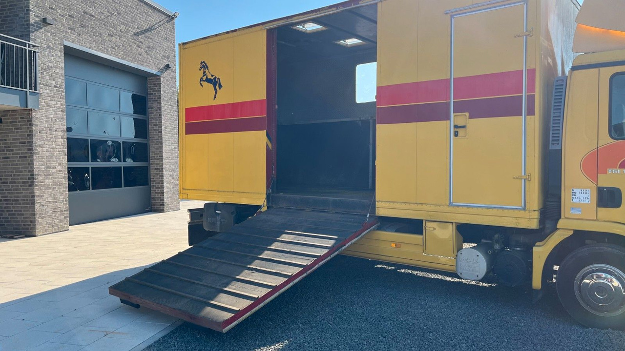 Horse truck MAN TGL 10.180 Euro 4  Pferdetransporter Horse MAN TGL 10.180 Euro 4  Pferdetransporter Horse: picture 6
