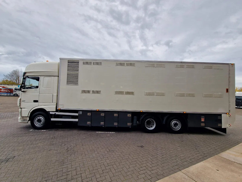 DAF XF 440 SuperSpaceCab 6x2*4 - 2 deck Closed Livestock - 40M2 - Filtersystem - Livestock truck: picture 4 DAF XF 440 SuperSpaceCab 6x2*4 - 2 deck Closed Livestock - 40M2 - Filtersystem - Livestock truck: picture 4