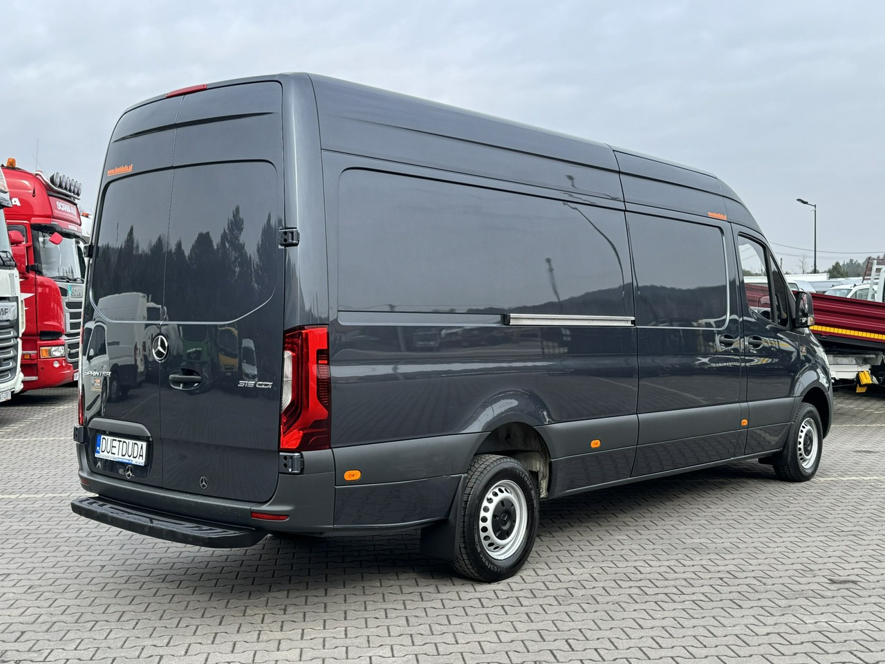 Panel van Mercedes 319: picture 12