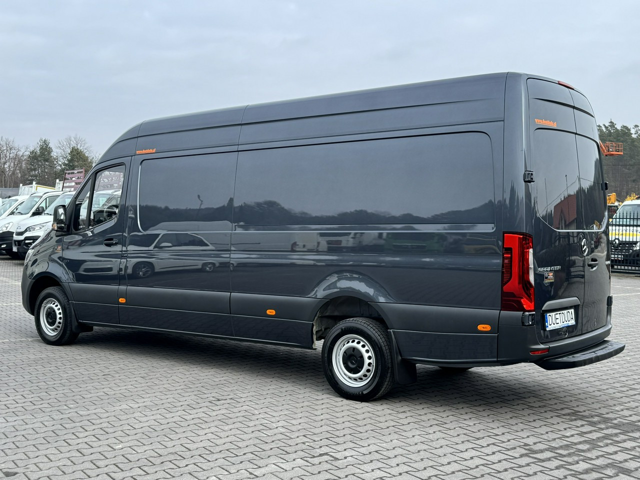 Panel van Mercedes 319: picture 9