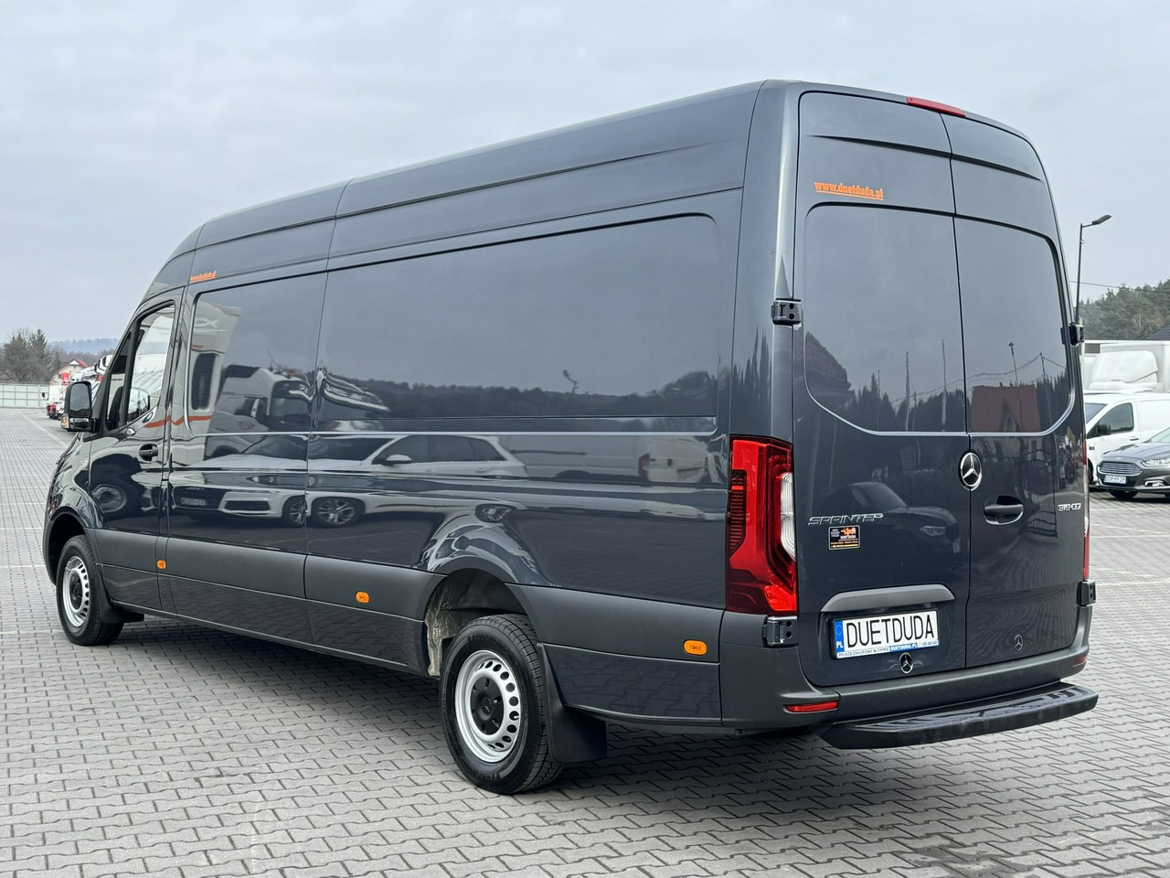 Panel van Mercedes 319: picture 11