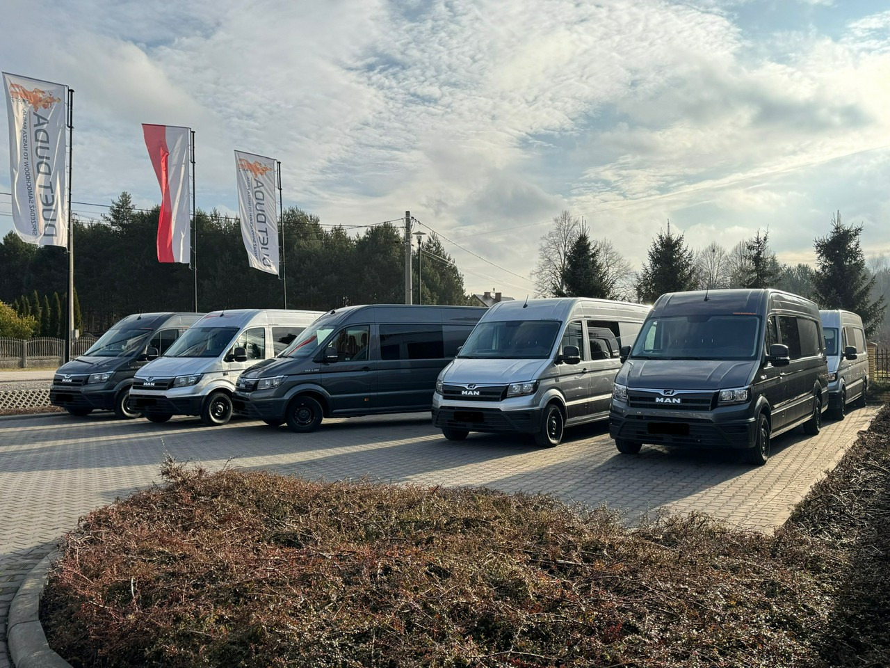 Mercedes Sprinter - Panel van: picture 1 Mercedes Sprinter - Panel van: picture 1