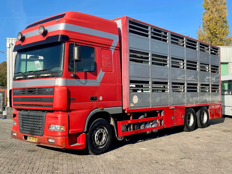 DAF XF 95.430 BERDEX 3 decks. Water, fans, Scales! Excellent condition. - Livestock truck: picture 2 DAF XF 95.430 BERDEX 3 decks. Water, fans, Scales! Excellent condition. - Livestock truck: picture 2