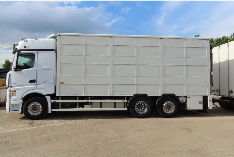 Mercedes-Benz Actros 2551 BERDEX 3 decks, All options + Berdex 12/ 2007 - Livestock truck: picture 4 Mercedes-Benz Actros 2551 BERDEX 3 decks, All options + Berdex 12/ 2007 - Livestock truck: picture 4