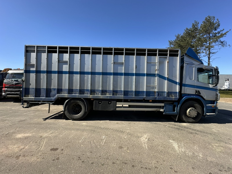 Scania P310 4x2 ANIMAL TRANSPORT - ALU BOX 7m - MANUAL - AIR SUSPENSION - A/C - BELGIAN TRUCK - Livestock truck: picture 3 Scania P310 4x2 ANIMAL TRANSPORT - ALU BOX 7m - MANUAL - AIR SUSPENSION - A/C - BELGIAN TRUCK - Livestock truck: picture 3