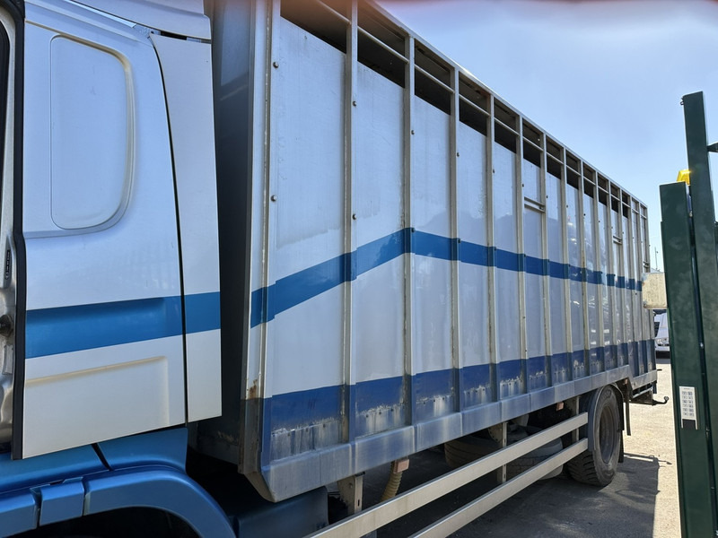 Scania P310 4x2 ANIMAL TRANSPORT - ALU BOX 7m - MANUAL - AIR SUSPENSION - A/C - BELGIAN TRUCK - Livestock truck: picture 5 Scania P310 4x2 ANIMAL TRANSPORT - ALU BOX 7m - MANUAL - AIR SUSPENSION - A/C - BELGIAN TRUCK - Livestock truck: picture 5