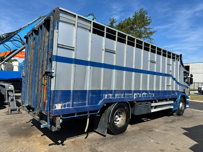 Scania P310 4x2 LIVESTOCK / VEEWAGEN / TIERTRANSPORT / BETAILLERE - ALU BOX 7m - MANUAL - A/C - BELGIAN TRUCK - Livestock truck: picture 5 Scania P310 4x2 LIVESTOCK / VEEWAGEN / TIERTRANSPORT / BETAILLERE - ALU BOX 7m - MANUAL - A/C - BELGIAN TRUCK - Livestock truck: picture 5