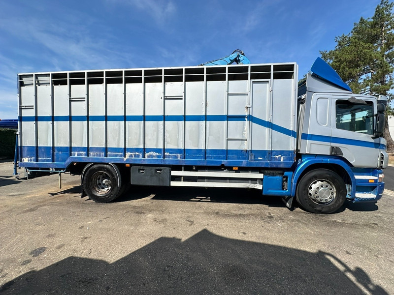 Scania P310 4x2 LIVESTOCK / VEEWAGEN / TIERTRANSPORT / BETAILLERE - ALU BOX 7m - MANUAL - A/C - BELGIAN TRUCK - Livestock truck: picture 4 Scania P310 4x2 LIVESTOCK / VEEWAGEN / TIERTRANSPORT / BETAILLERE - ALU BOX 7m - MANUAL - A/C - BELGIAN TRUCK - Livestock truck: picture 4