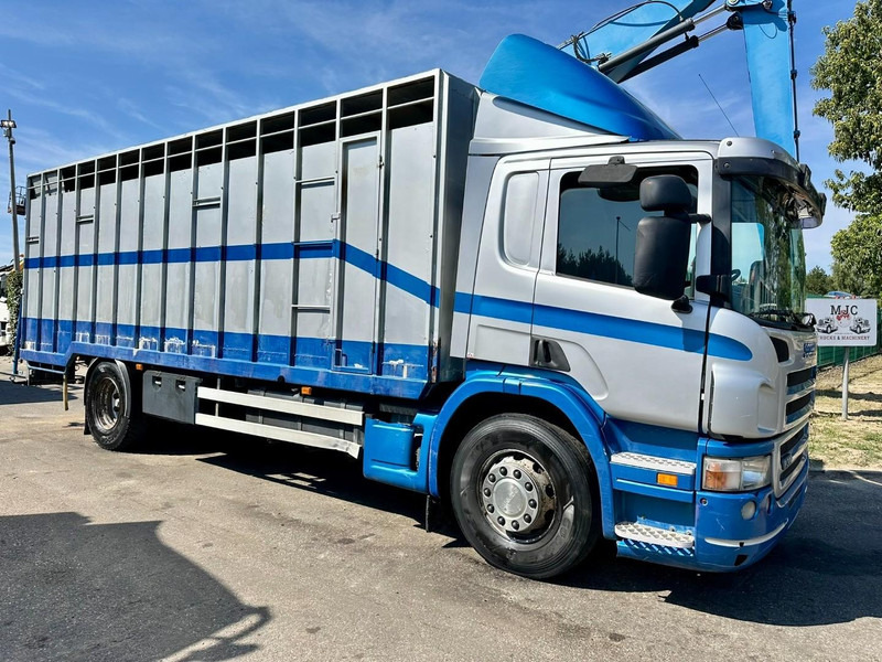 Scania P310 4x2 LIVESTOCK / VEEWAGEN / TIERTRANSPORT / BETAILLERE - ALU BOX 7m - MANUAL - A/C - BELGIAN TRUCK - Livestock truck: picture 1 Scania P310 4x2 LIVESTOCK / VEEWAGEN / TIERTRANSPORT / BETAILLERE - ALU BOX 7m - MANUAL - A/C - BELGIAN TRUCK - Livestock truck: picture 1
