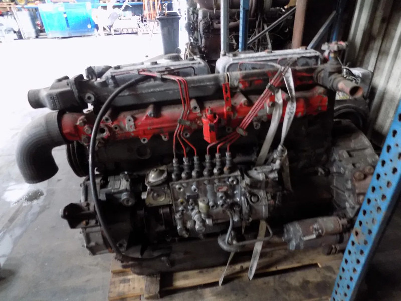 DAF 825 motor van daf typ 85 euro 2 - Engine for Truck: picture 1 DAF 825 motor van daf typ 85 euro 2 - Engine for Truck: picture 1