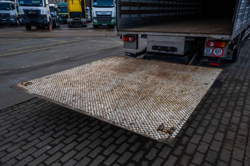 Box truck Volvo FL 260 (19t) +DHOLLANDIA 2T.: picture 9