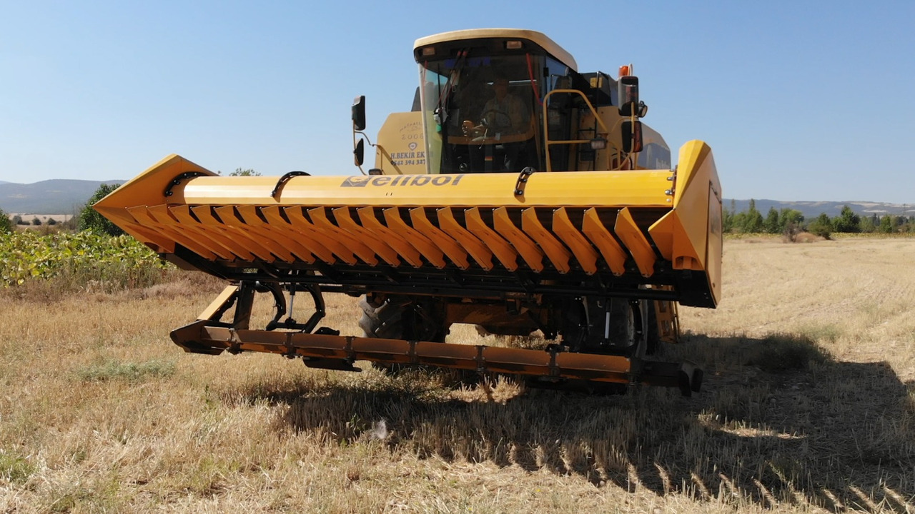 Sunflower header ELİBOL FREESUN 480 ROW INDEPENDENT SUNFLOWER HEADER: picture 6
