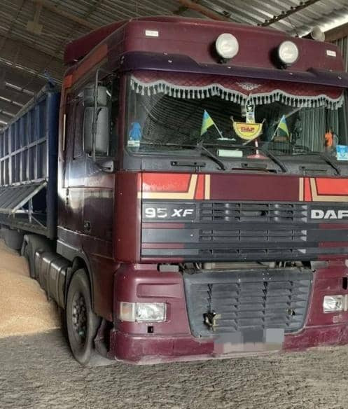 DAF XF 95 - Tractor unit: picture 5 DAF XF 95 - Tractor unit: picture 5