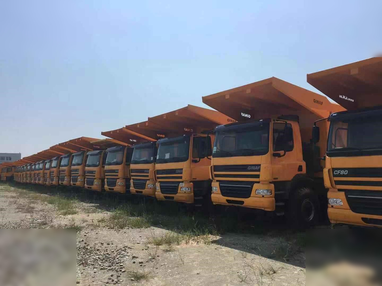 2014 GINAF HD5380T - Tipper: picture 1 2014 GINAF HD5380T - Tipper: picture 1