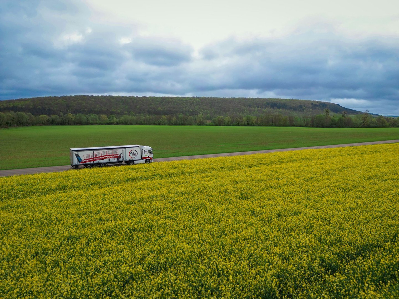 Loading ramp Loading Ramp with with hydraulic tilting bridge - AZ RAMP - STAR- 8T FULL GALVA: picture 19 Loading ramp Loading Ramp with with hydraulic tilting bridge - AZ RAMP - STAR- 8T FULL GALVA: picture 19