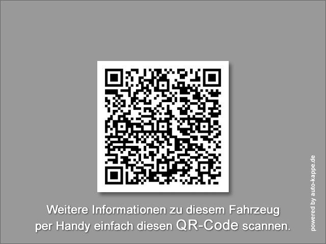 Leasing of  Renault Master Pritsche Schiebe Plane 10 Pal. LUFTFEDERUNG Renault Master Pritsche Schiebe Plane 10 Pal. LUFTFEDERUNG: picture 21