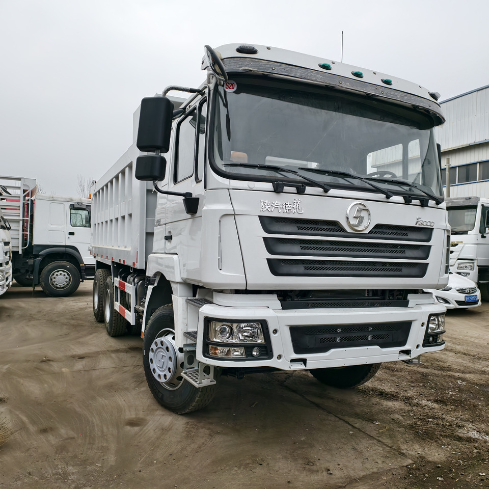 SHACMAN F3000 6*4 8*4 - Tipper: picture 1 SHACMAN F3000 6*4 8*4 - Tipper: picture 1