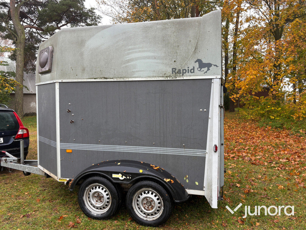 Hästtransport - Humbaur, Rapid - Horse trailer: picture 3 Hästtransport - Humbaur, Rapid - Horse trailer: picture 3