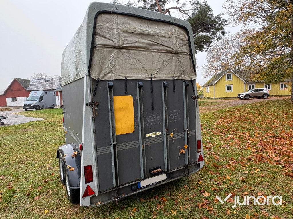 Hästtransport - Humbaur, Rapid - Horse trailer: picture 4 Hästtransport - Humbaur, Rapid - Horse trailer: picture 4