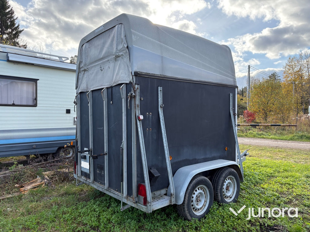 Hästtransport - Sluis, PTS - Horse trailer: picture 4 Hästtransport - Sluis, PTS - Horse trailer: picture 4