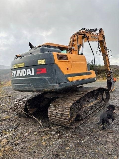 Hyundai HX140HW METSÄMALLI - Crawler excavator: picture 4 Hyundai HX140HW METSÄMALLI - Crawler excavator: picture 4
