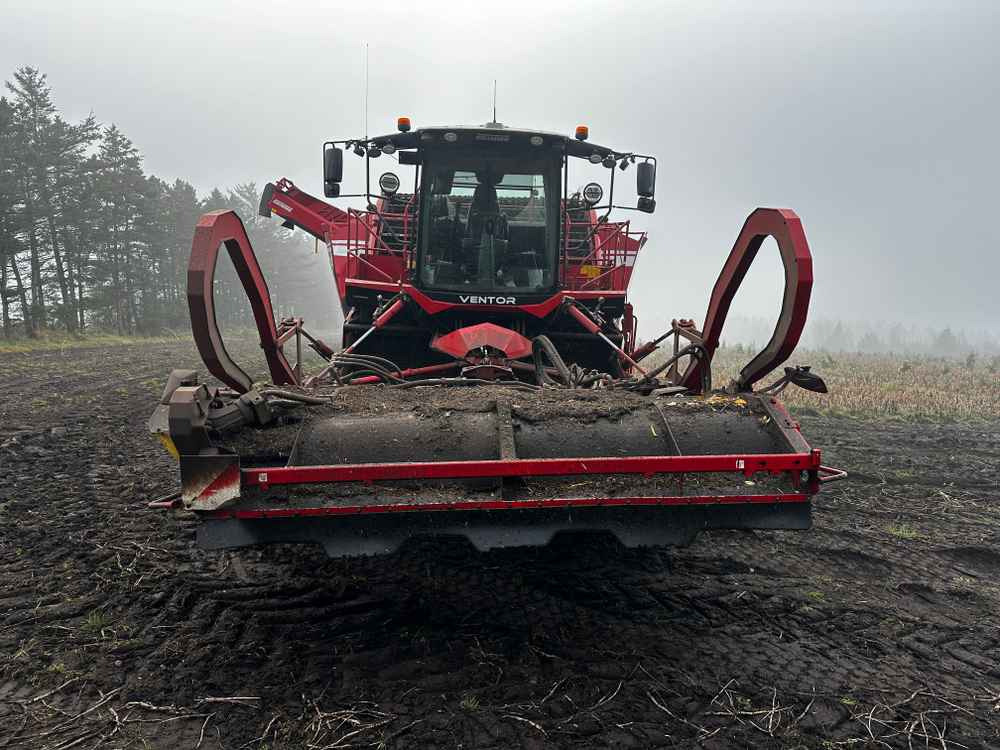 Grimme VENTOR 4150 ClodSep - Harvester: picture 2 Grimme VENTOR 4150 ClodSep - Harvester: picture 2