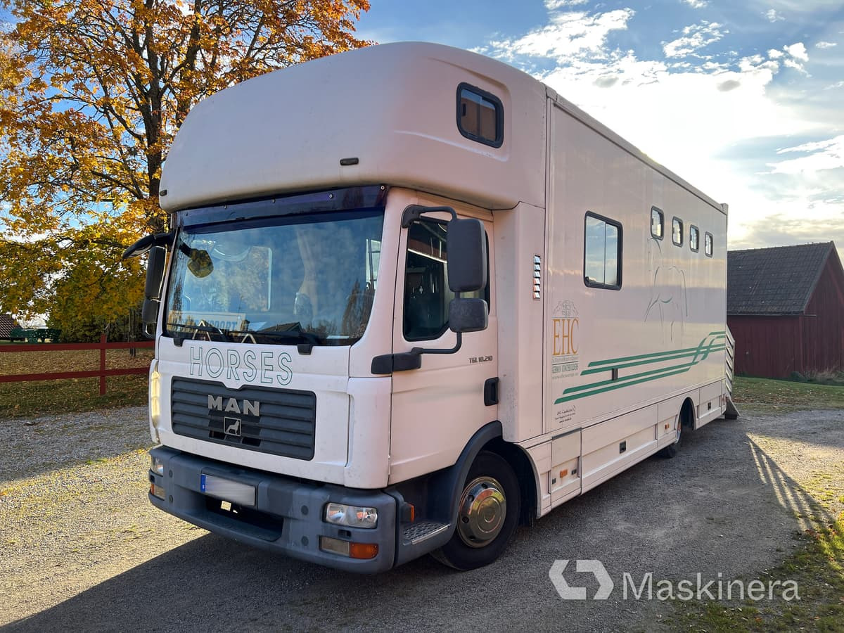 Hästlastbil MAN TGL 10.210 4X2 BL - Horse truck: picture 1 Hästlastbil MAN TGL 10.210 4X2 BL - Horse truck: picture 1
