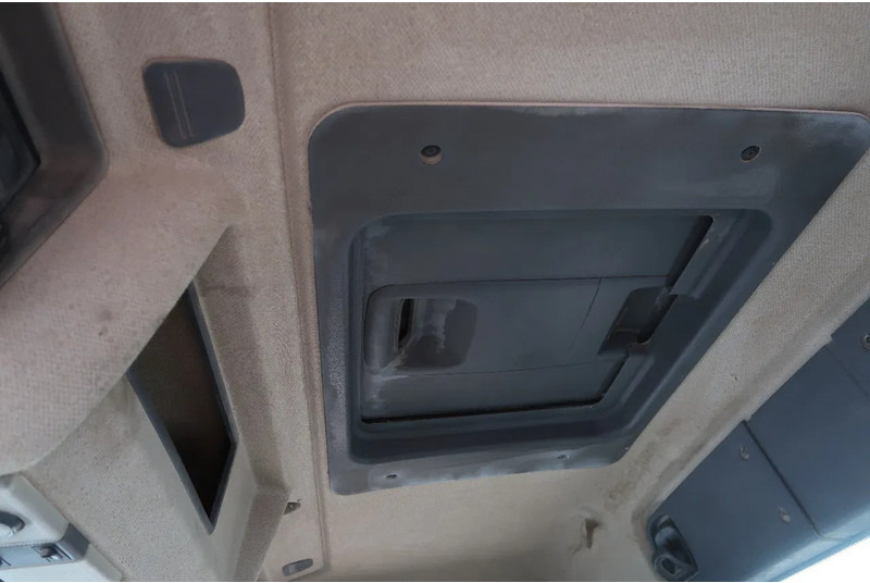 Concrete mixer truck Renault Kerax 370 8X4/ MIXER/ BARYVAL 9 M3/ CRUISE CONTROL/: picture 15