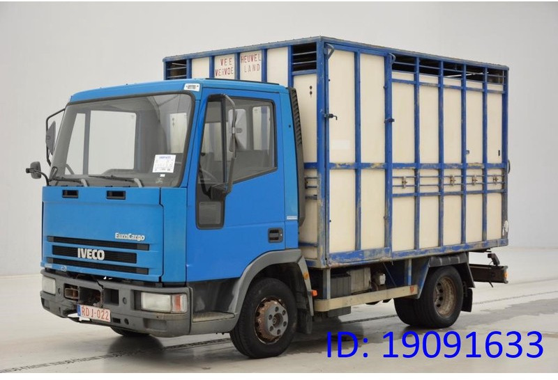 Iveco 65E14* - Livestock truck: picture 1 Iveco 65E14* - Livestock truck: picture 1