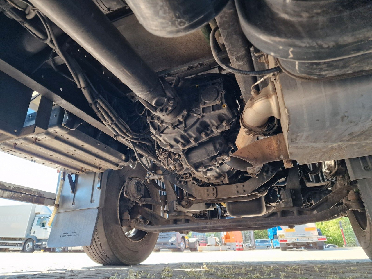 Refrigerator truck MAN TGM 18.290 4X2 LL / Ldbw / Carrier Supra 1250Mt: picture 13