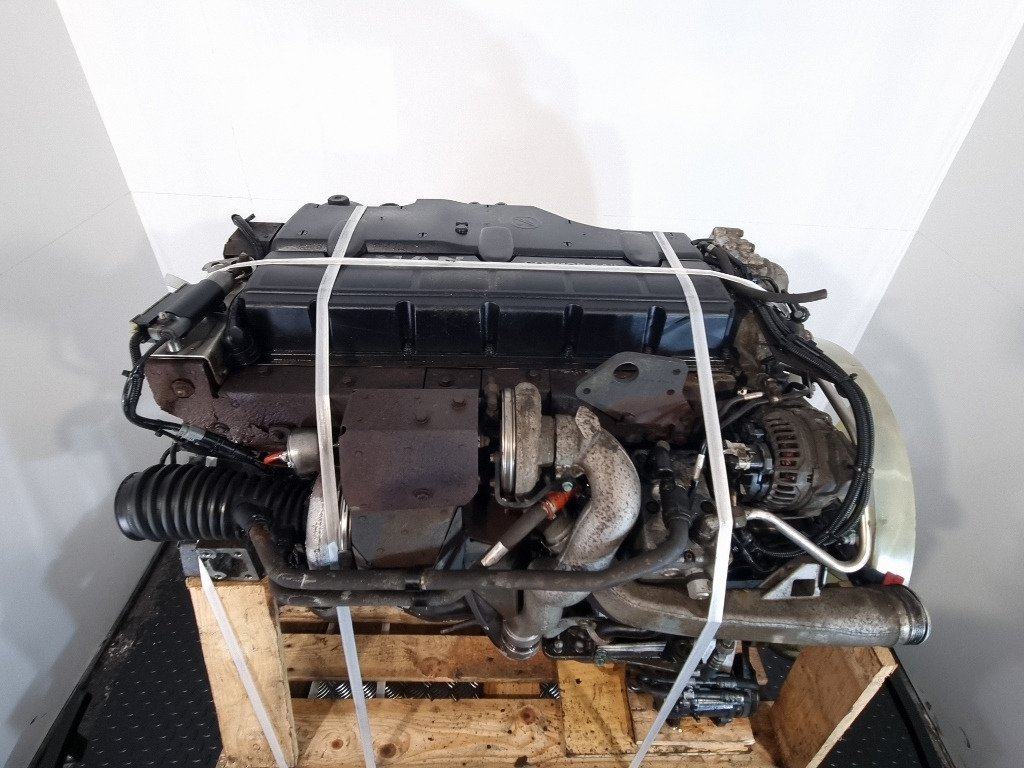 Engine for Truck MAN D0836 LFL63 Engine (Truck): picture 11